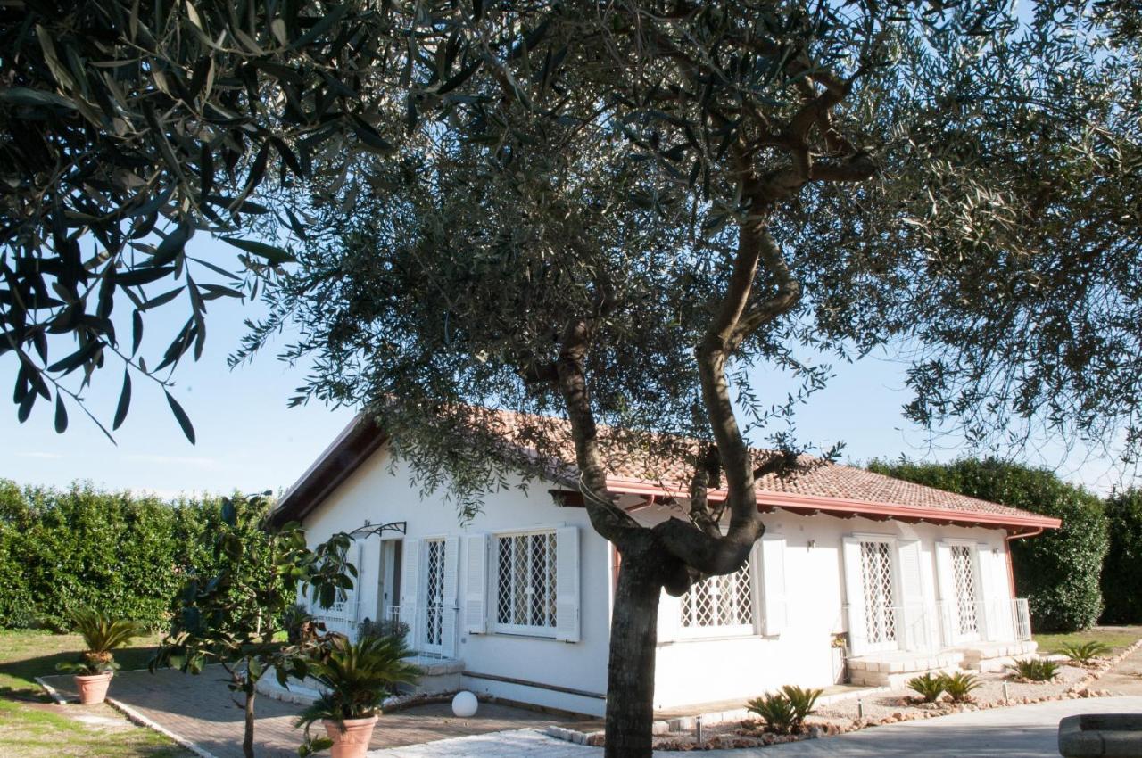 Bed & Breakfast Tenuta Michele Napels