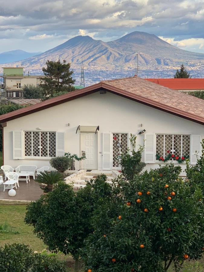 Tenuta Michele Couette-café